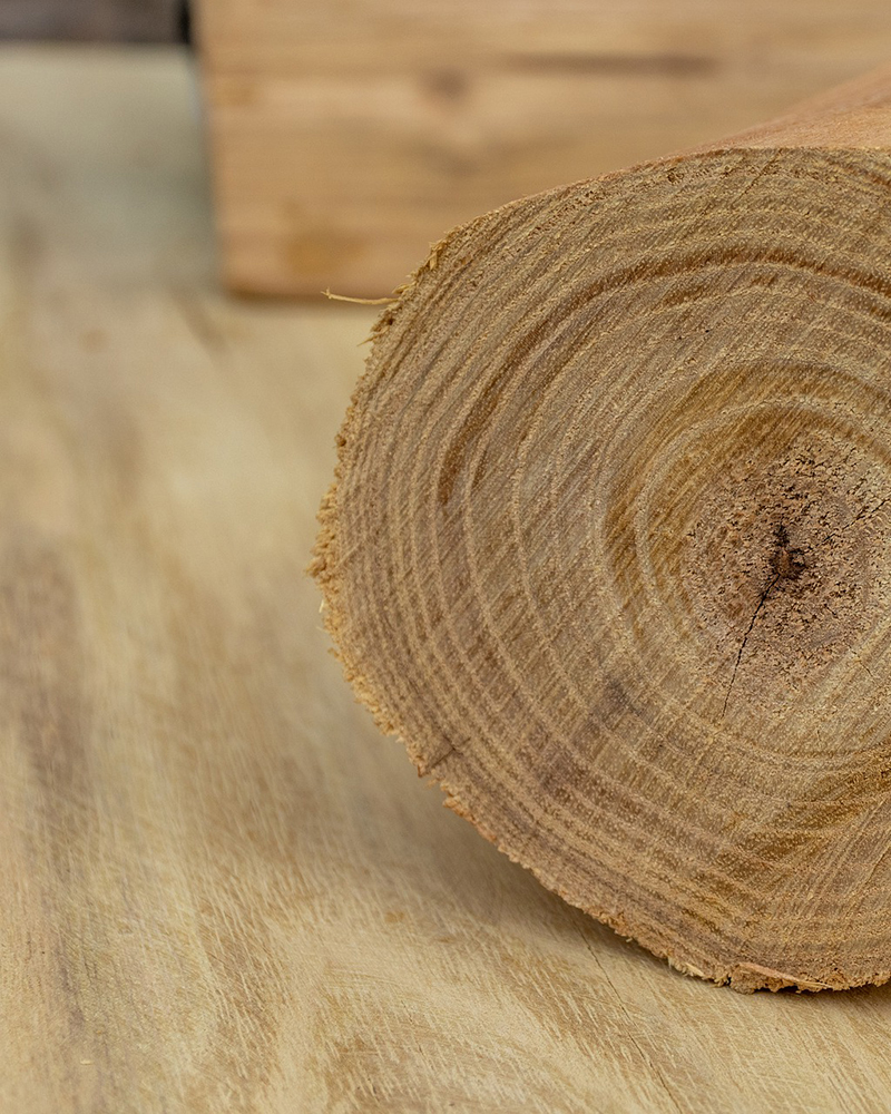 Детские площадки из робинии. Прочность, долговечность, дизайн